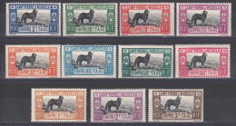 SAINT PIERRE ET MIQUELON : TAXE CHIEN TERRE NEUVE N° 21/31 NEUVES * GOMME CHARNIERE PROPRE - COTE 230 € - Timbres-taxe