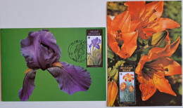 1990.. BELGIUM.. LOT OF 2 MAXIMUM CARDS..Flower Exhibition In Gent - 1981-1990