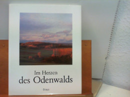 Im Herzen Des Odenwalds - Duitsland