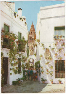 2114. - Cordoba - Calleja De Las Flores - (Espana/Spain) - Córdoba