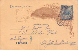 Briefkaart Carte Postale - Brazil 1902 - Entiers Postaux