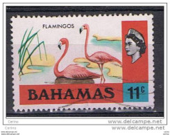 BAHAMAS:  1971  FLAMINGOS  -  11 C. USED  STAMP  -  YV/TELL. 311 - 1963-1973 Ministerial Government