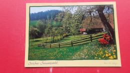 Unbekannt Verzogen.Steinenbachtal Bei Gutach.Photo:Hans W.Karger - Gutach (Schwarzwaldbahn)