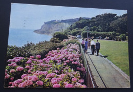 Shanklin, Isle Of Wight - Keats Green - Pub. J. Arthur Dixon, Newport - # I.W. 6648 - Shanklin