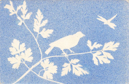 Illustration - Silhouette D'un Oiseau Avec Une Libellule - Fond Bleu - Carte Postale Ancienne - Photographs