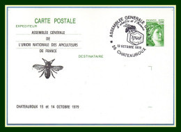 Entier CP Sabine Repiqué Union Nationale Apiculteurs France CHATEAUROUX 1979 ABEILLE BEE - Abeilles