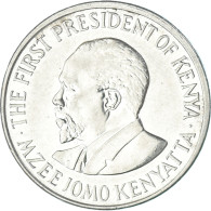 Monnaie, Kenya, Shilling, 2010 - Kenia