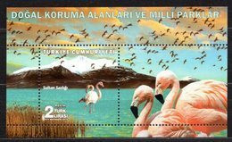 2018 TURKEY NATURAL CONSERVATION AREAS AND NATIONAL PARKS FLAMINGO SOUVENIR SHEET MNH ** - Fenicotteri