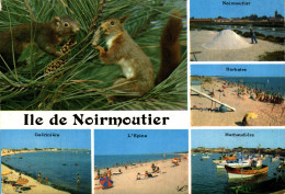 N°107217 -cpsm île De Noirmoutier -multivues -écureuil- - Noirmoutier
