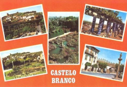 Castelo Branco - Vistas / Miradouro / Pelourinho / Jardim - Castelo Branco