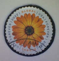 United States, Scott #5680, Used(o), 2022, Global Mail: African Daisy, ($1.30), Yellow And Brown - Gebruikt