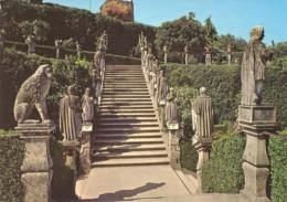 Castelo Branco - Jardim Do Paço / Escadaria Dos Apóstolos - Castelo Branco