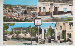 CPSM Algérie - Souvenir De Médéa - Avec 4 Vues : Vue Générale, Intérieur De La Mosquée, Kiosque, Quartier Yusuf - Médéa