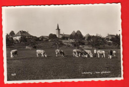 ZVT-28  Lavigny  Vue Générale Et Ferme De L'Hôpital Vaches Et Bergers.  Perrochet Et Phototypie 9077 - Lavigny