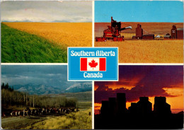 Canada Southern Alberta Farming And Ranching Scenes Multi View - Andere & Zonder Classificatie