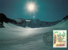 " NOEL 1993 / NEIGE / HIVER " Sur Carte Maximum Du LIECHTENSTEIN CM  ( 120 ) - Natur