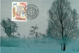 " NOEL 1993 / NEIGE / HIVER " Sur Carte Maximum Du LIECHTENSTEIN CM ( 120 ) - Nature