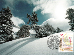 " NOEL 1993 / NEIGE / HIVER " Sur Carte Maximum Du LIECHTENSTEIN CM ( 120 ) - Natur