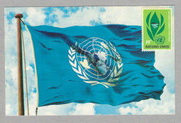 Nations-Unies Carte, Drapeau, 137 - Autres & Non Classés