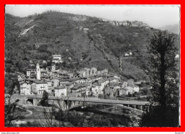 CPSM/gf (06) ROQUEVILLIERE-VIEUX.  Vue Générale, Au-dessus Le Village De Belvédère..*5809 - Roquebilliere