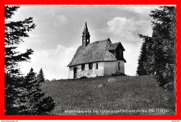 CPSM/pf FURTWANGEN (Allemagne)   Martinskapelle (Schwarzwald)..*5938 - Furtwangen