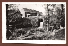 (RECTO / VERSO) BOUGNIES - Le Vieux Moulin Et La Chute D'eau - Legers Plis - Carte Photo Format CPA - Belgique - Quevy