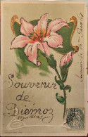 Souvenir De DIEMOZ (Isère) + Paillettes - Fleurs - Voyagé 1907 (2 Scans) Perenet, Raffinerie De Sucre Rue Des Docks Lyon - Diémoz
