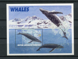 British Antarctic Territory - Block Nr. 4 - "Wale" ** / MNH (aus Dem Jahr 1996) - Ongebruikt