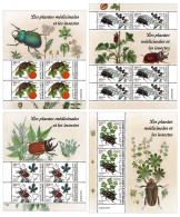 Djibouti 2023, Animals, Insects And Medical Plants, 4val Sheetlets - Heilpflanzen