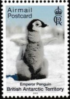 BRITISH ANTARCTIC, BAT, 2023, MNH,  BIRDS, PENGUINS, 1v - Pingouins & Manchots