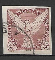 TCHECOSLOVAQUIE     -   Journaux  -  1919 .   Y&T N° 7 Oblitéré - Newspaper Stamps