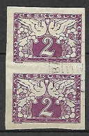 TCHECOSLOVAQUIE     -   Journaux  -  1920 .   Y&T N° 9 En PAIRE  Oblitérés. - Timbres Pour Journaux