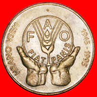 * SLOVAKIA: SLOVENIA  5 TOLARS 1945-1995 FAO! ·  LOW START · NO RESERVE! - Slovénie