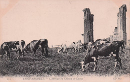 Saint Arnoult En Yvelines - L'herbage Du Chateau De Lassay  - Bovins - Vaches Au Prés - CPA°J - St. Arnoult En Yvelines