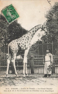 Paris * 5ème * Le Jardin Des Plantes * La Girafe Ménélik , Don De SM Le Roi D'abyssinie Au Président De La République - Distrito: 05