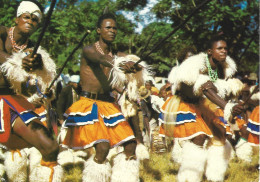 CPM SIBBHACA DANCE - DANSE - 1982 - Swaziland