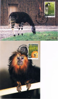 Belgique - 150 Ans Du Zoo D'Anvers CM 2486/2487 (année 1992) - 1991-2000