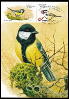 DUOSTAMP°/ MYSTAMP° - CM/MK -  BUZIN - Mésange Charbonnière / Koolmees / Kohlmeise / Great Tit - XXVe Ce-phil-A - 2011-..