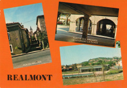 REALMONT - Multivues - Realmont