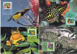 Australia, 2003, 2237/40,  NATURE OF AUSTRALIA - RAINFOREST. SET OF FOUR MAXI CARDS - Maximumkarten (MC)