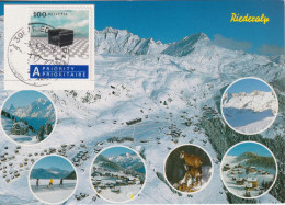 AK  "Riederalp"  (Corbusier MH-Frankatur)     2004 - Covers & Documents