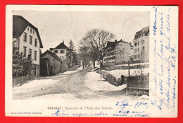 ZVU-35 RARE Cernier  Souvenir De L'Allée Des Tilleuls En Hiver.  Dos Simple. Circulé 1902  - Cernier