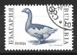 Bulgaria 1991. Scott #3582 (U) Goose - Gebruikt