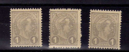 Luxembourg (1895) - 1 C. Grand-Duc Adolphe Neufs** - MNH - 1895 Adolfo De Perfíl