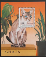 SD)1997, TOGO, CATS, COLORPOINT SHORT HAIR, SOUVENIR BLADE, MNH - Togo (1960-...)