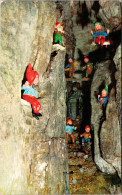 Tennessee Chattanooga Rock City Fairyland Gardens Jolly Gnomes At Play - Chattanooga