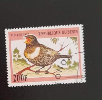 SD)1997, BENIN, BIRDS, HOODED BLACKBIRD, USED - Bénin – Dahomey (1960-...)