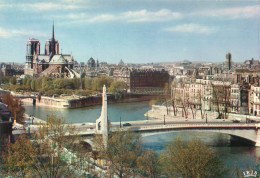 Paris - La Cathedrale Notre Dame  - Statue De Sainte Génévieve   O 652 - Notre Dame De Paris