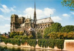 Paris - La Cathedrale Notre Dame     O 653 - Notre Dame De Paris