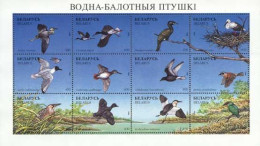 Belorussia Belarus 1996 Wetland Birds Set Of 12 Stamps In Sheetlet Mint - Mouettes